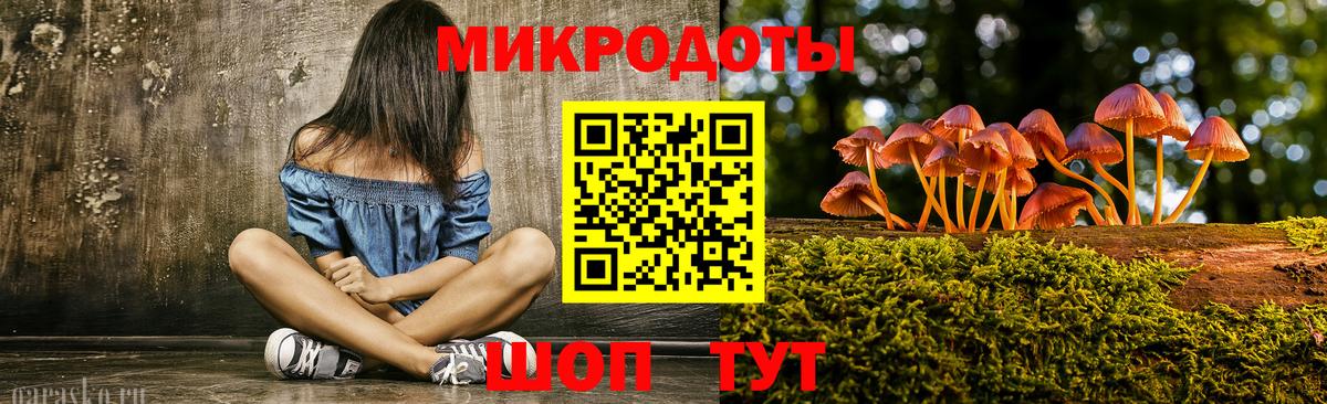 Галлюциногенные грибы прущие грибы  Вход с VPN  Большой Камень 